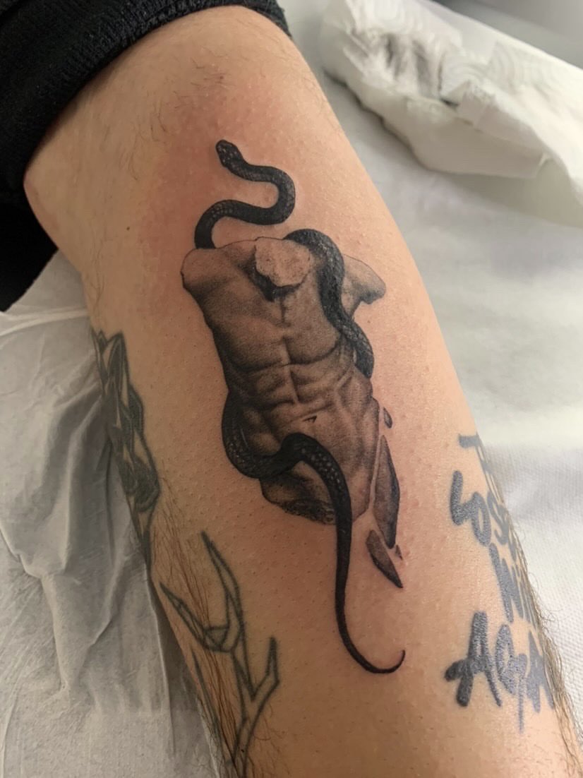 0niryme's tweet photo. Je vous avais pas montré celui là!! 🐍 https://t.co/V8wRIAImEw