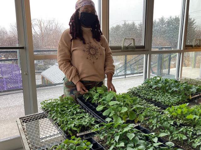 CityBloom87's tweet photo. We're getting ready for our community plant giveaway! Stay tuned for more information about our cool-season plant distribution happening next month 🤩 https://t.co/7dShpUM8zE