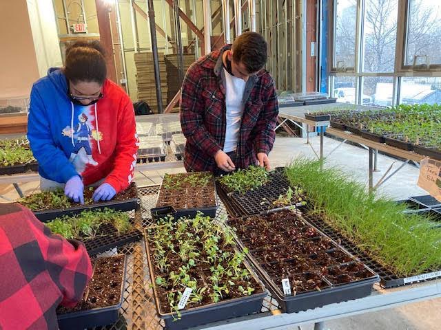 We're getting ready for our community plant giveaway! Stay tuned for more information about our cool-season plant distribution happening next month 🤩