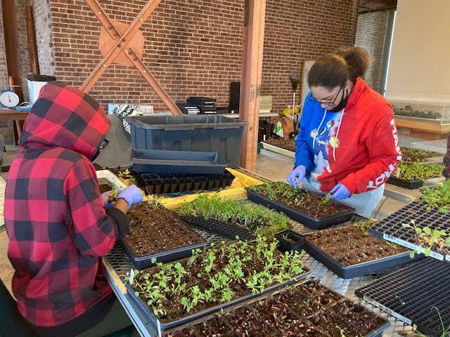 CityBloom87's tweet photo. We're getting ready for our community plant giveaway! Stay tuned for more information about our cool-season plant distribution happening next month 🤩 https://t.co/7dShpUM8zE