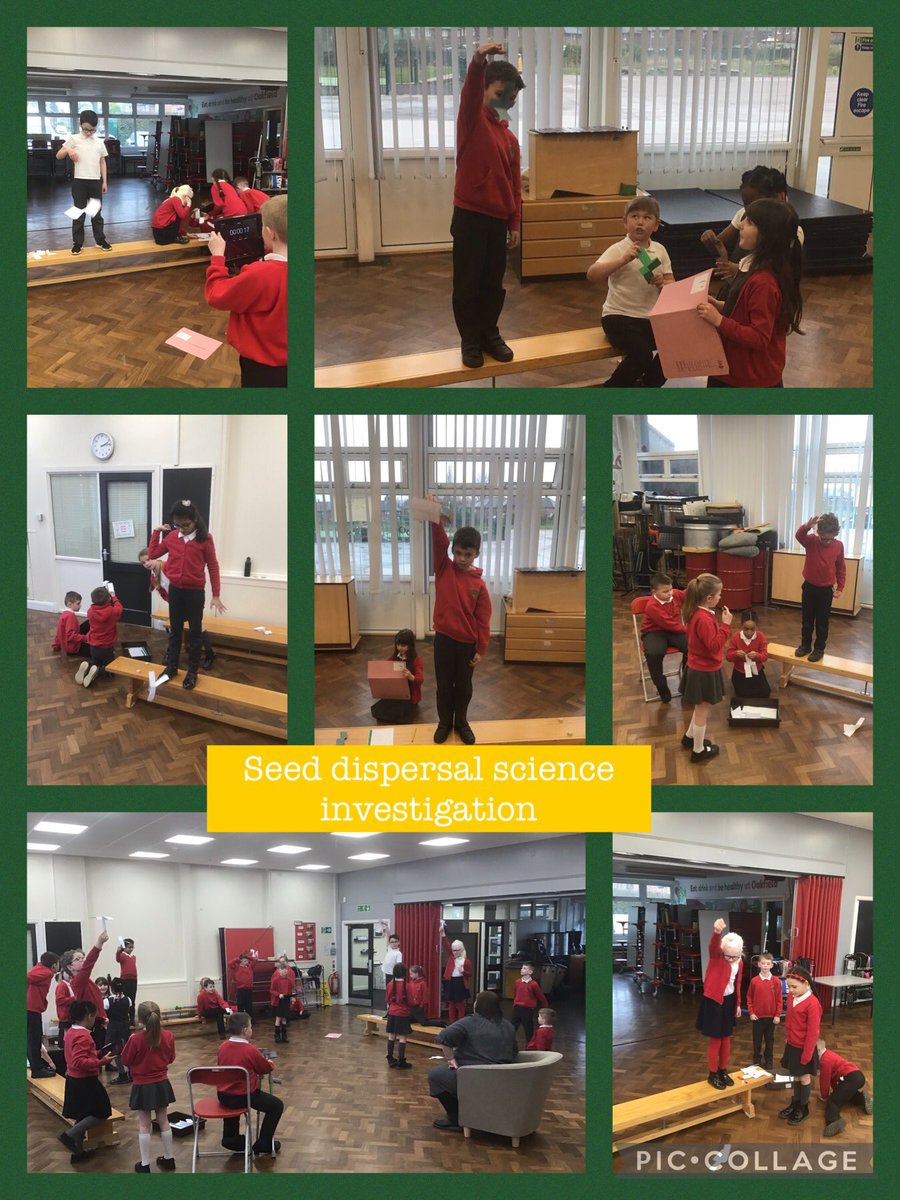 OakfieldY3's tweet photo. This week in science week, we have been investigating how seeds are dispersed. We explored whether the weight, size or material of the seed effect how successful the seed fall… wait for the results tomorrow! 🧑‍🔬🌱 #oakfieldscience #BritishScienceWeek2022 https://t.co/gRZ5bupEwX