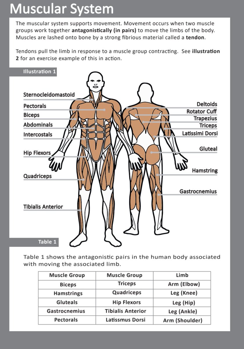 zeph_bennett's tweet image. Revision journal taking shape, mixture of covering exam topics in a simple and hopefully effective way, retrieval pack questions, exam questions and mark scheme #aqagcsepe