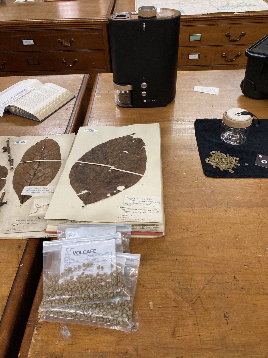 Emma Donnelly tweet media