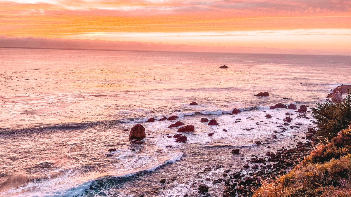 esalen's tweet photo. The days are getting longer and warmer, and we are grateful for it. Take a look at our Spring workshops (https://t.co/QDZs8VNdYh) and see what is calling to you. 

Photo by: Stephanie Lewis

#Spring #EsalenInstitute #BigSur https://t.co/GGoz1qC2tf