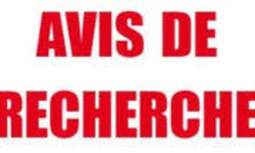 DeckdeDoc1's tweet photo. Avis de recherche :
 Le 2 juin nous organisons une journée d’étude académique ayant pour thème : « le jeu libre c’est du sérieux ? » Nous cherchons un intervenant pouvant apporter un éclairage scientifique sur cette question. Quelqu’un à nous recommander ? https://t.co/hCtKMtzKxB