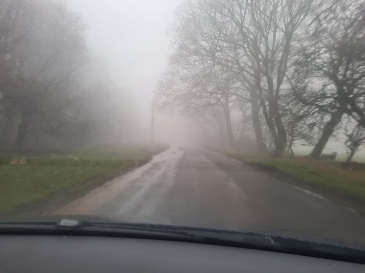 Christhegarden2's tweet photo. What a rough old day! Glad it's over! #GardeningTwitter https://t.co/pykVe6kdSZ