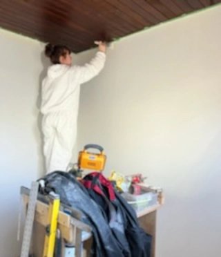 Steinbach Bible College tweet media