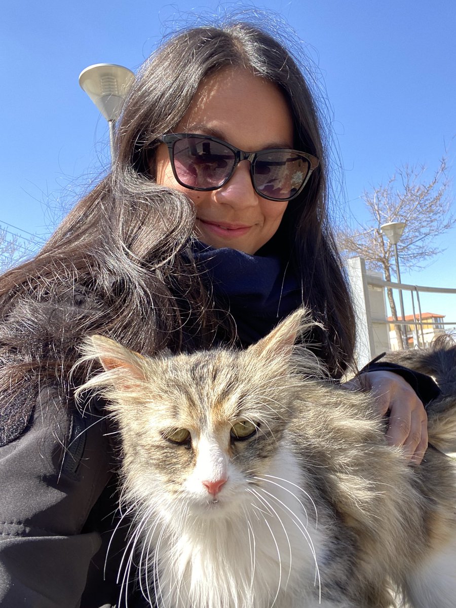 Today’s #CatsOfTwitter post is brought to you by this beautiful Jordanian cat that I wasn’t allowed to stow away in the jet.