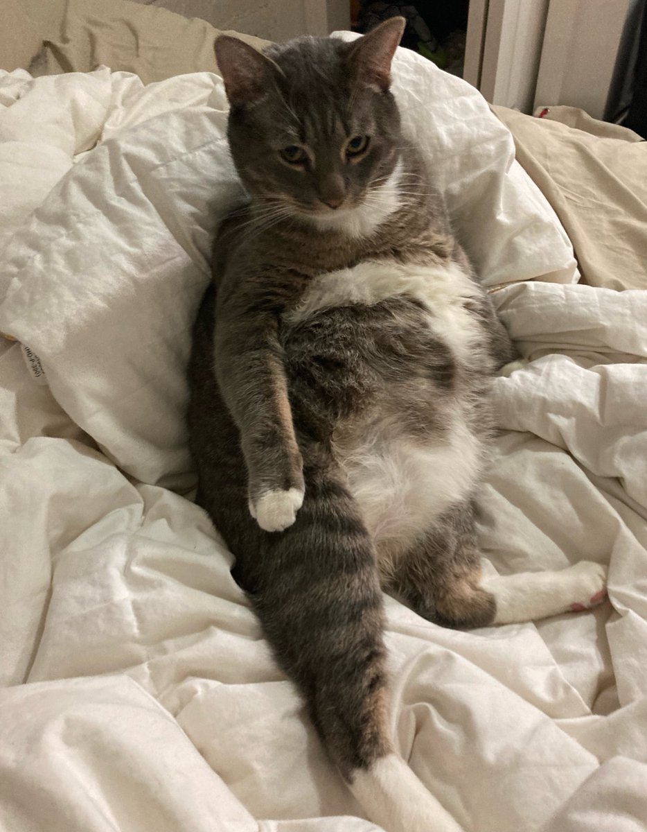 etLinux's tweet photo. he got so fat so fast lmao https://t.co/vsvMPOTF3R