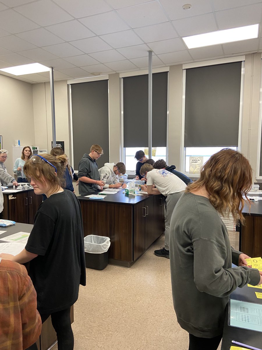 blessedjess61's tweet photo. Engaged learning in Mrs. Moon’s Honor’s Chemistry ⁦@Deshler_High⁩⁦⁦@TuscumbiaCitySc⁩ https://t.co/D1AhkL6EoJ