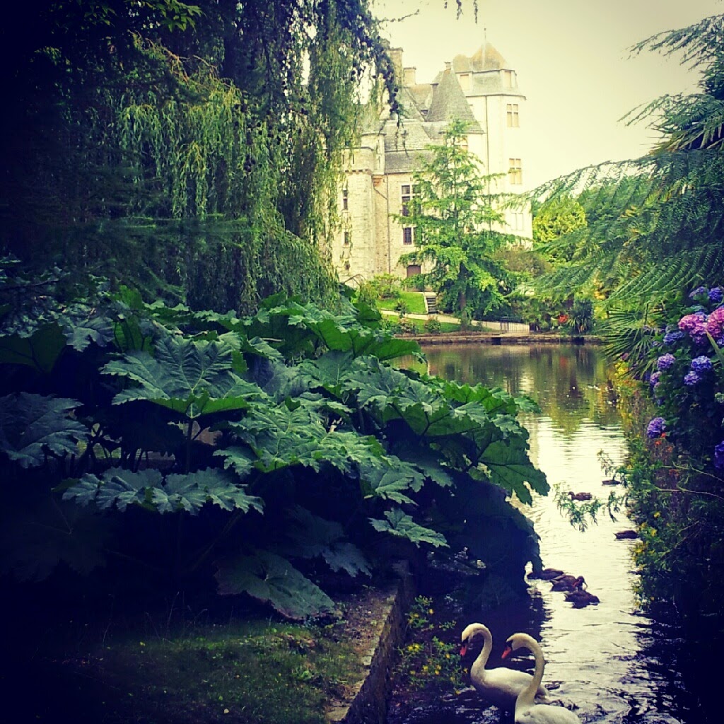 Asstriiid's tweet photo. @ZolaClg @VilleCherbourg @daac_normandie @LaManche50 Le château et son parc.. Le bonheur des photographes ! 🥰 https://t.co/LlYmJ6jYkX