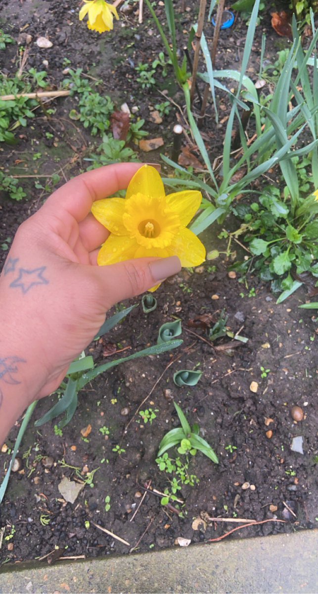 NGogognon's tweet image. Each new day brings new possibilities, work hard and know in your self that you have the potential to heal, help and be successful 💚 #author #Twitter #inspiration