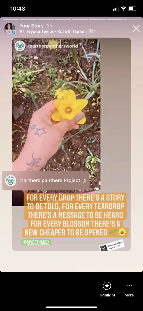 NGogognon's tweet image. Each new day brings new possibilities, work hard and know in your self that you have the potential to heal, help and be successful 💚 #author #Twitter #inspiration