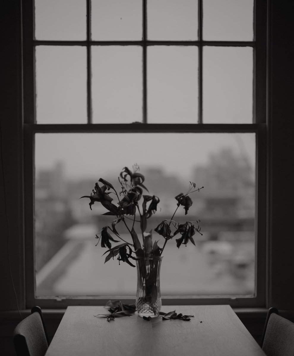 Bianca Foscht tweet media