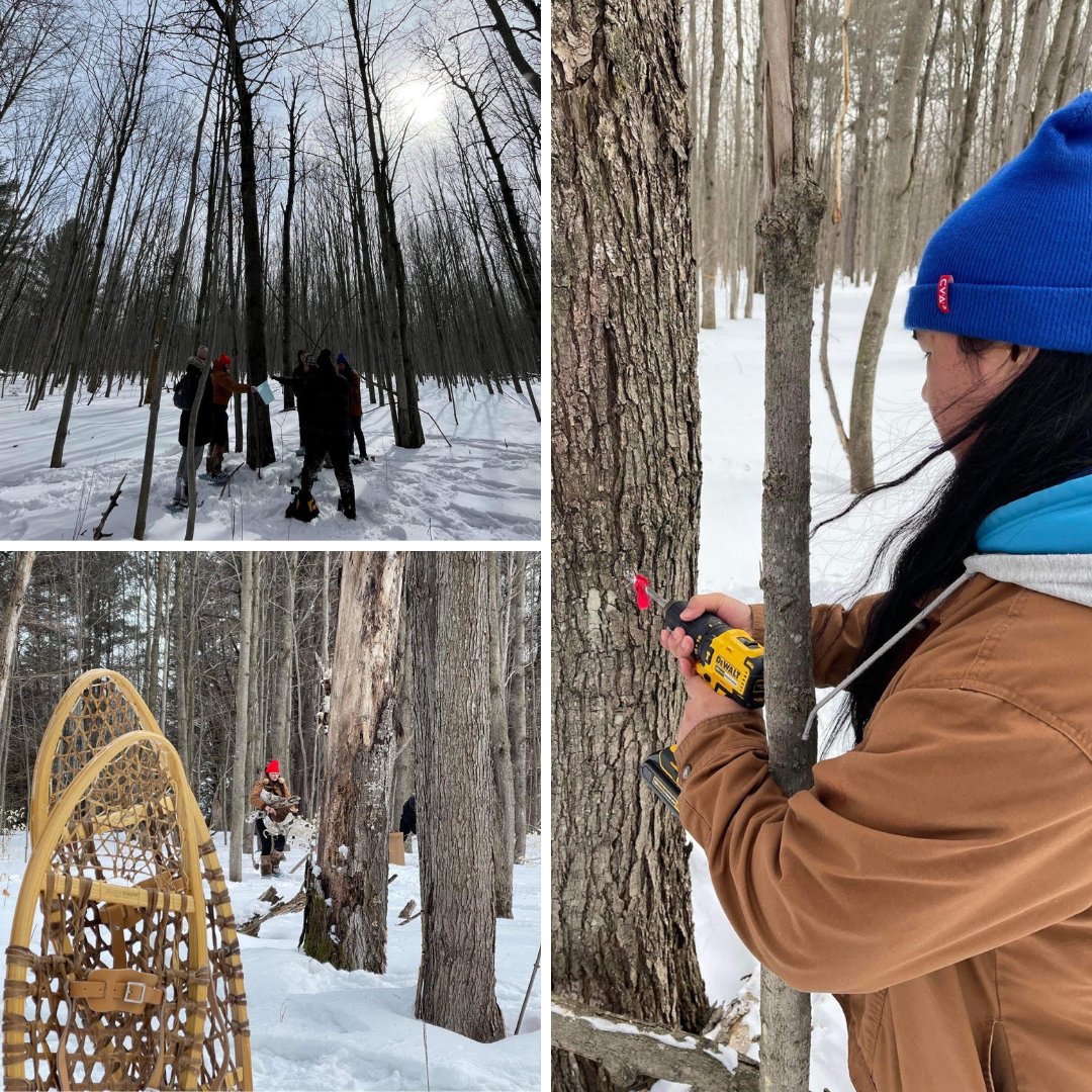 A7G_Official's tweet photo. This past weekend we had an absolute blast tapping Maple Trees (ininaatigoog). We will be going back later this week to collect the sap and will be boiling it down to make syrup this upcoming weekend. 

Miigwetch to our land based helpers for organizing. 

#a7g #mapletreetapping https://t.co/MKWyeDezgR