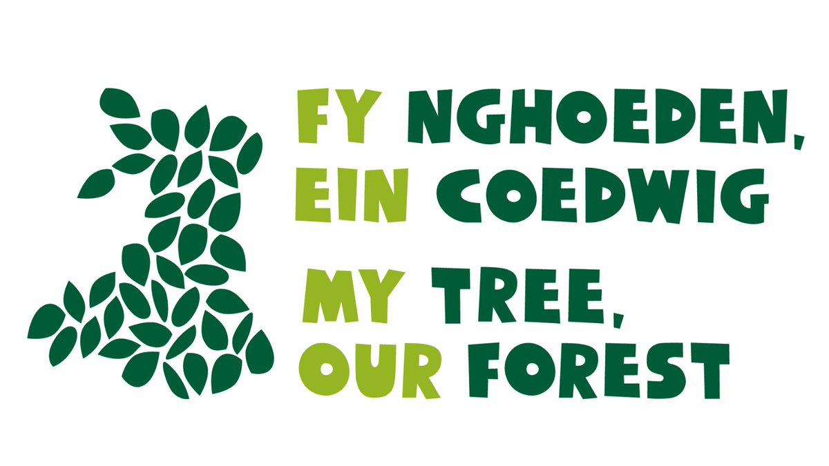 WGClimateChange's tweet photo. If you’re out shopping in #Cardiff on Sunday why not visit our #MyTreeOurForest ‘pop up’ hub, near Pravins, @StDavidsCardiff between 9am – 4pm to pick up your free tree!! @CoedCadw 

https://t.co/cV8v9bLcpD https://t.co/CloTs2892l