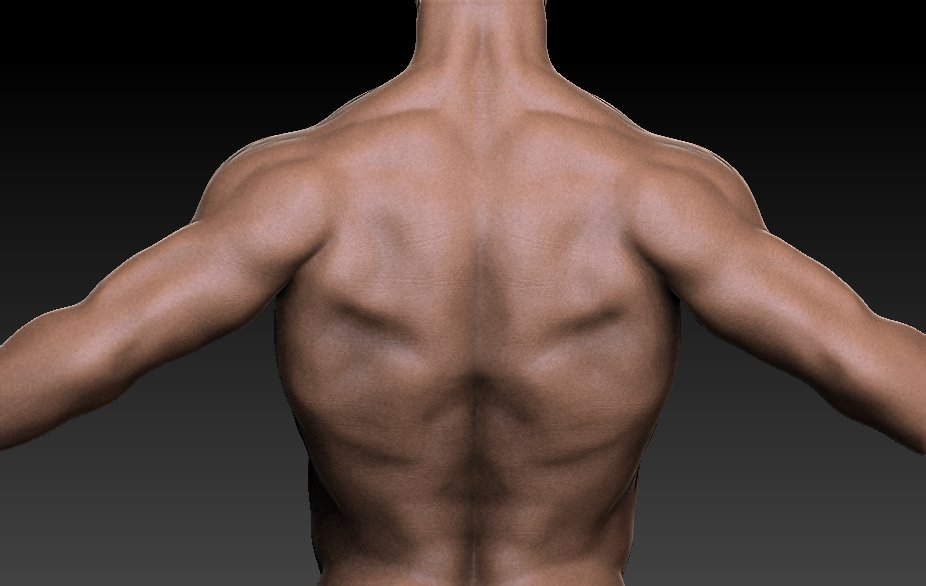 3ama97's tweet photo. my latest sculptures using ZBrush...

#art #3D #zbrush #render https://t.co/JAUL7APOv9