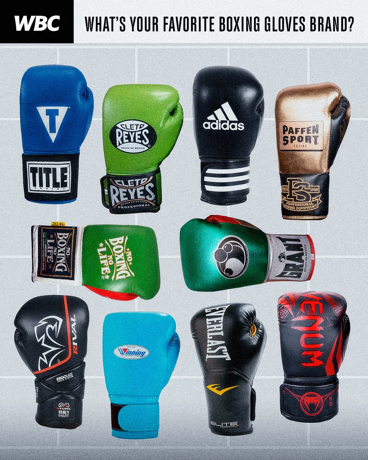 World Boxing Council on X: What's your favorite Boxing Gloves