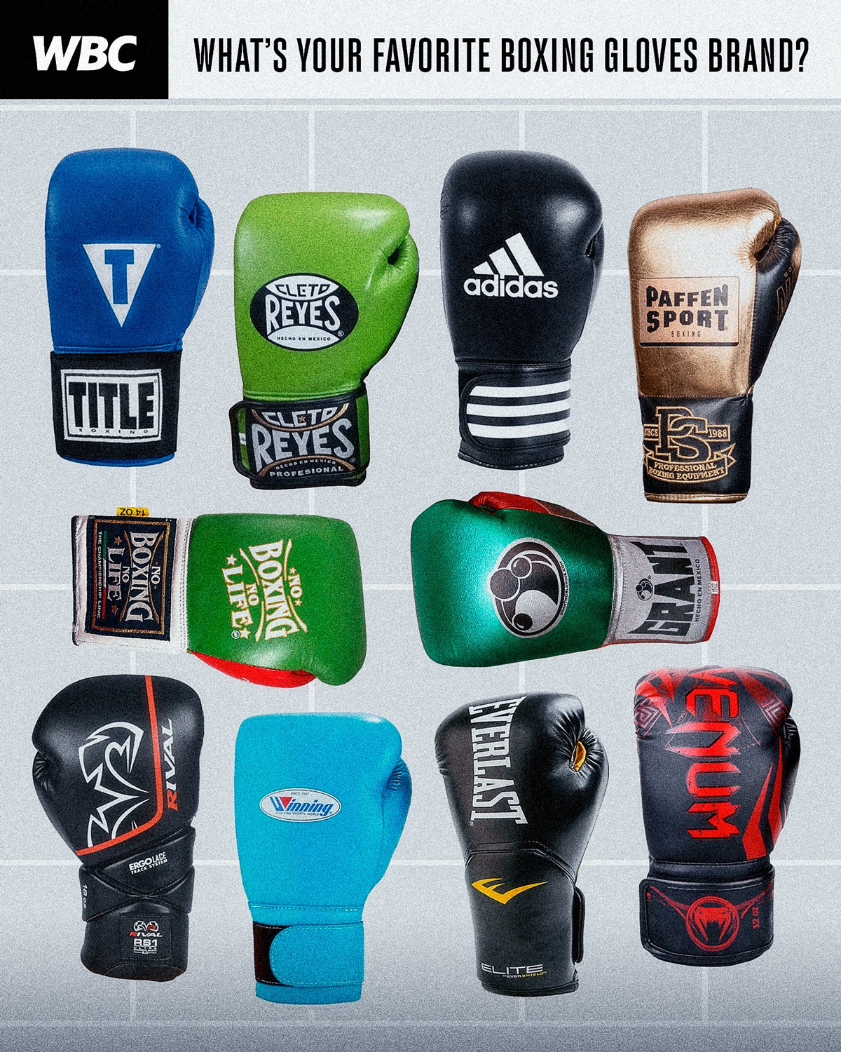 World Boxing Council on X: What's your favorite Boxing Gloves Brand?   / X