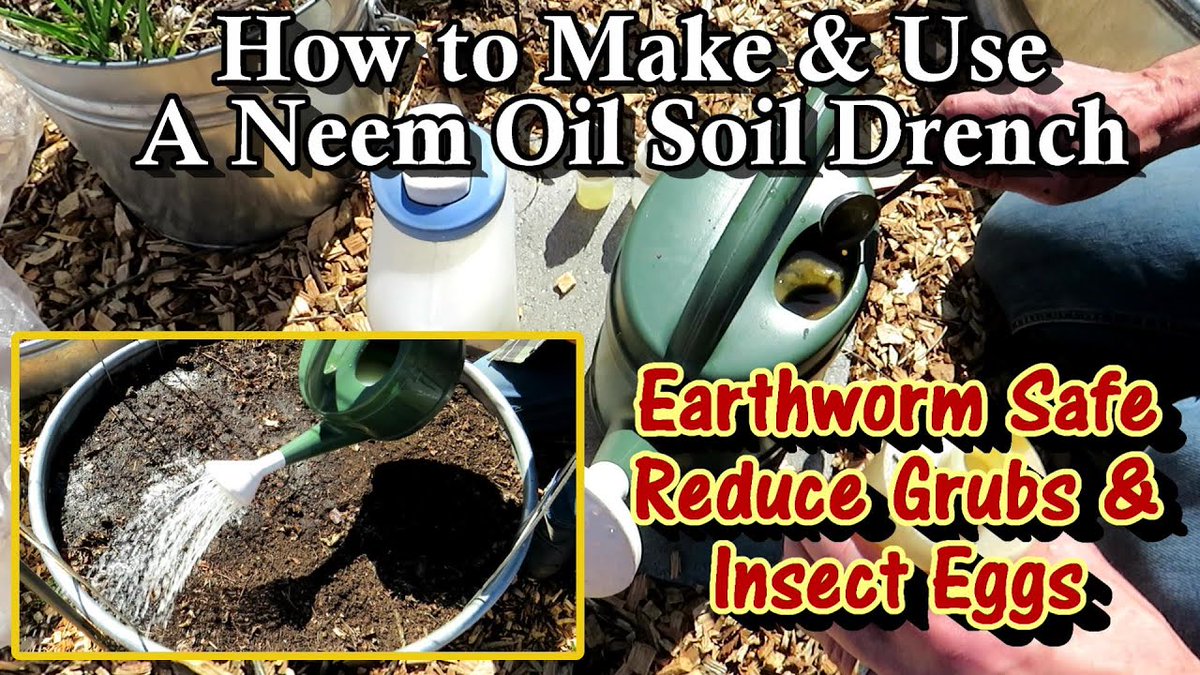 AllForGardening's tweet photo. #Gary #Pilarchik: How to MAKE &amp;#Amp; #Apply a ...
 
#Gardening #GaryPilarchik #Homesteading #OffGrid #Organic
 
https://t.co/14CUciR4X2 https://t.co/TUxD1NEMnj
