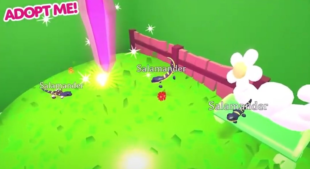 Hi purple wolves💜🐺
Some of the new pets of new egg! What's your favorite??📰✨

#roblox #adoptmetrading #robloxmemes #adoptme #robloxedits #minecraft #robloxgfx #royalehigh #edgymemes #bloxburg #robloxadoptme #adoptmeroblox #fortnite #adoptmw78946311 #gfx #robloxedit #adoptme