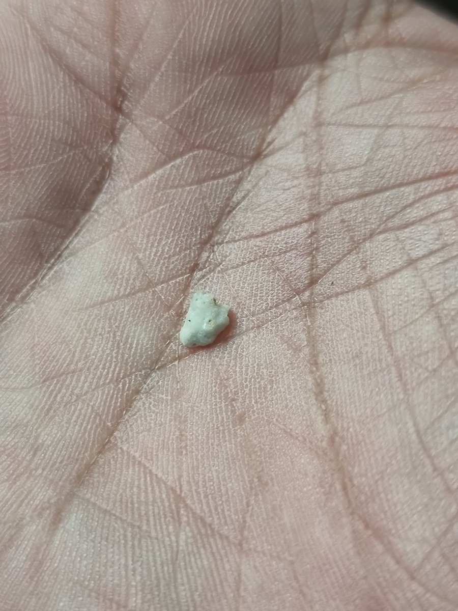 pushkarmangal's tweet photo. What is this stone?
#metelliod, #meteorite, #meteoroid
#metal #nonmetal or #stone
Properties are amazing:
Not Melting point found.
Not reaction in nitric acid nor loss its weight.
Easily breakable.
Color turn green in hand on other turn offwhite.
Pushkar Agarwal
Call 9627777797 https://t.co/pI3PT9q0BU