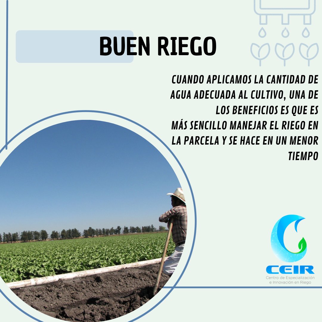 La forma de regar hace una gran diferencia en el cuidado del agua y la energía.⚡️
Eso repercute en la utilidad de la actividad agrícola y en el cuidado del medio ambiente. 
¡APROVECHEMOS LOS RECURSOS! 💧🌱
#diamundialdelagua