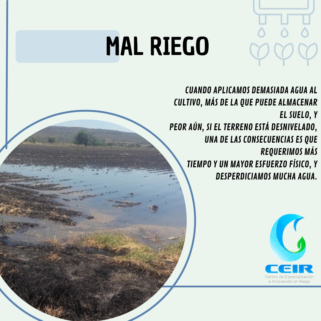 gtoceir's tweet photo. La forma de regar hace una gran diferencia en el cuidado del agua y la energía.⚡️
Eso repercute en la utilidad de la actividad agrícola y en el cuidado del medio ambiente. 
¡APROVECHEMOS LOS RECURSOS! 💧🌱
#diamundialdelagua https://t.co/qMIB2L8EI3