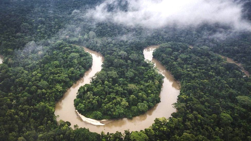 LASAweb's tweet photo. Amazon rainforest reaching tipping point
https://t.co/TiECJcmMbe

@LASA_Amazonia https://t.co/w5NrAADkOh