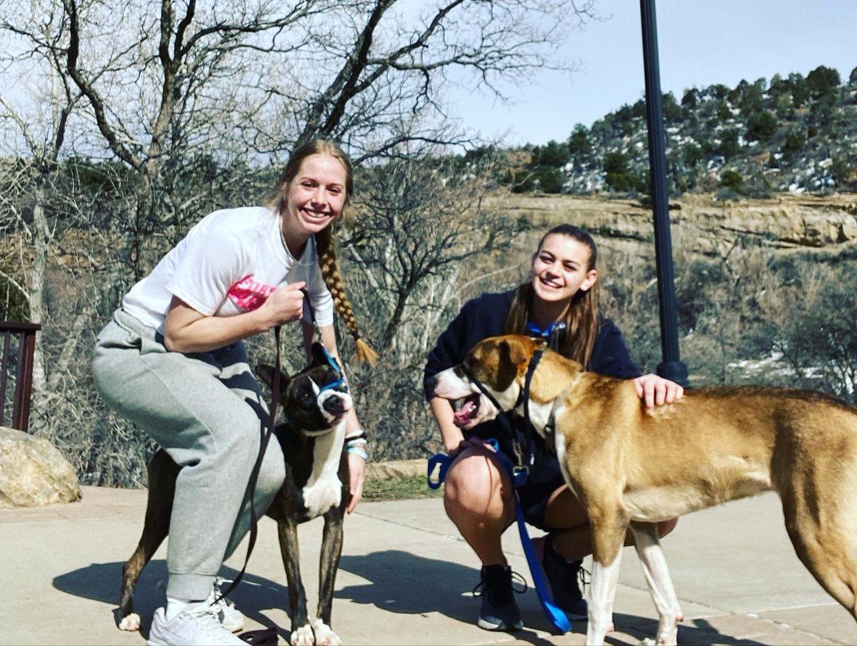 Fort Lewis Women’s Basketball tweet media