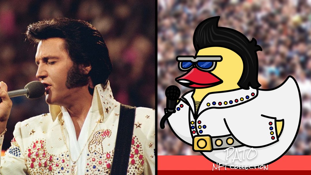 nft_e3's tweet photo. #Elvis Duckling just need to sing...!
#PATO #NFT Honors Personalities 💪❤️ https://t.co/JjpS8BZ7MU