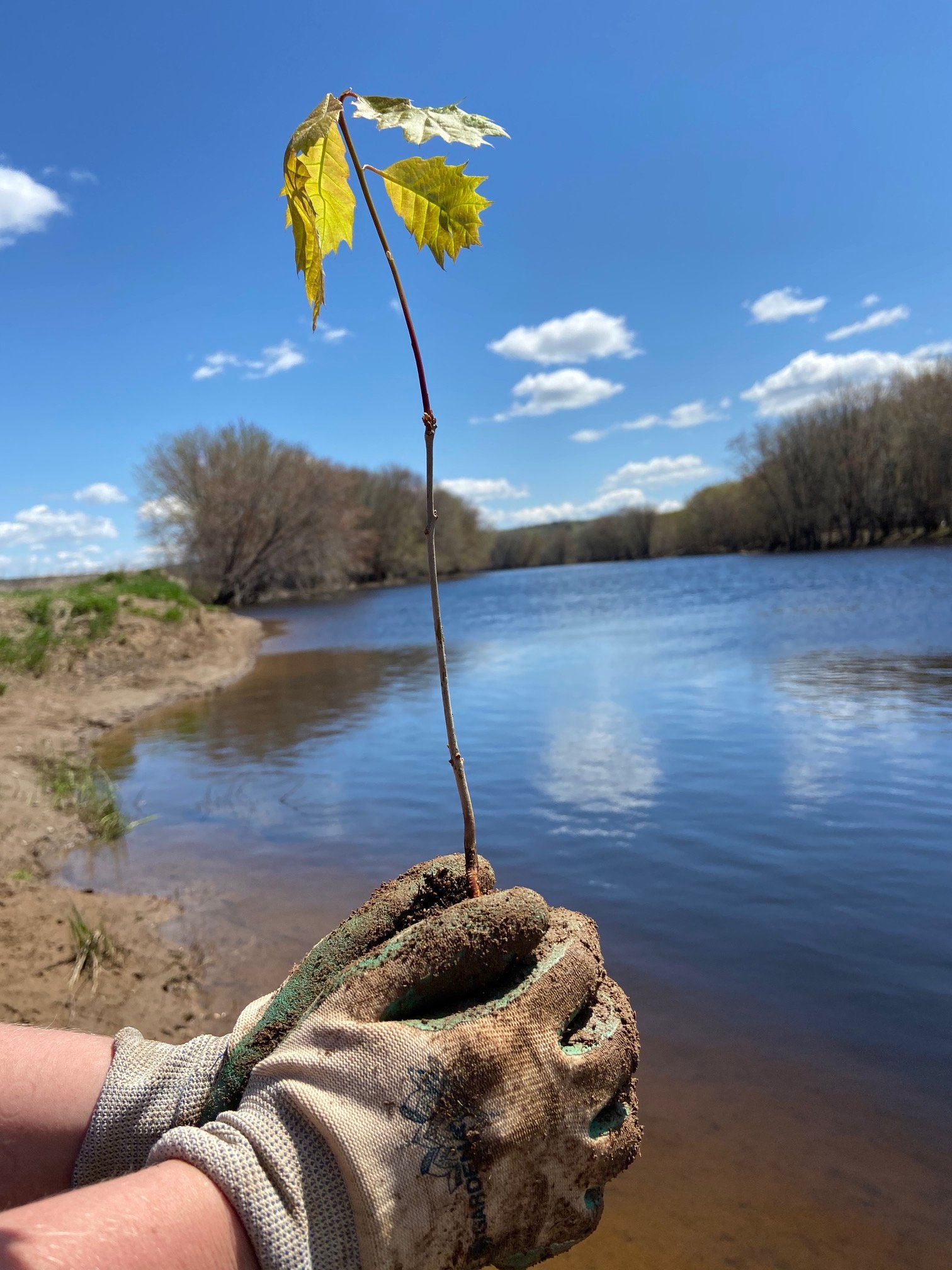 Campbell Creek Stream Restoration Public Engagement Session