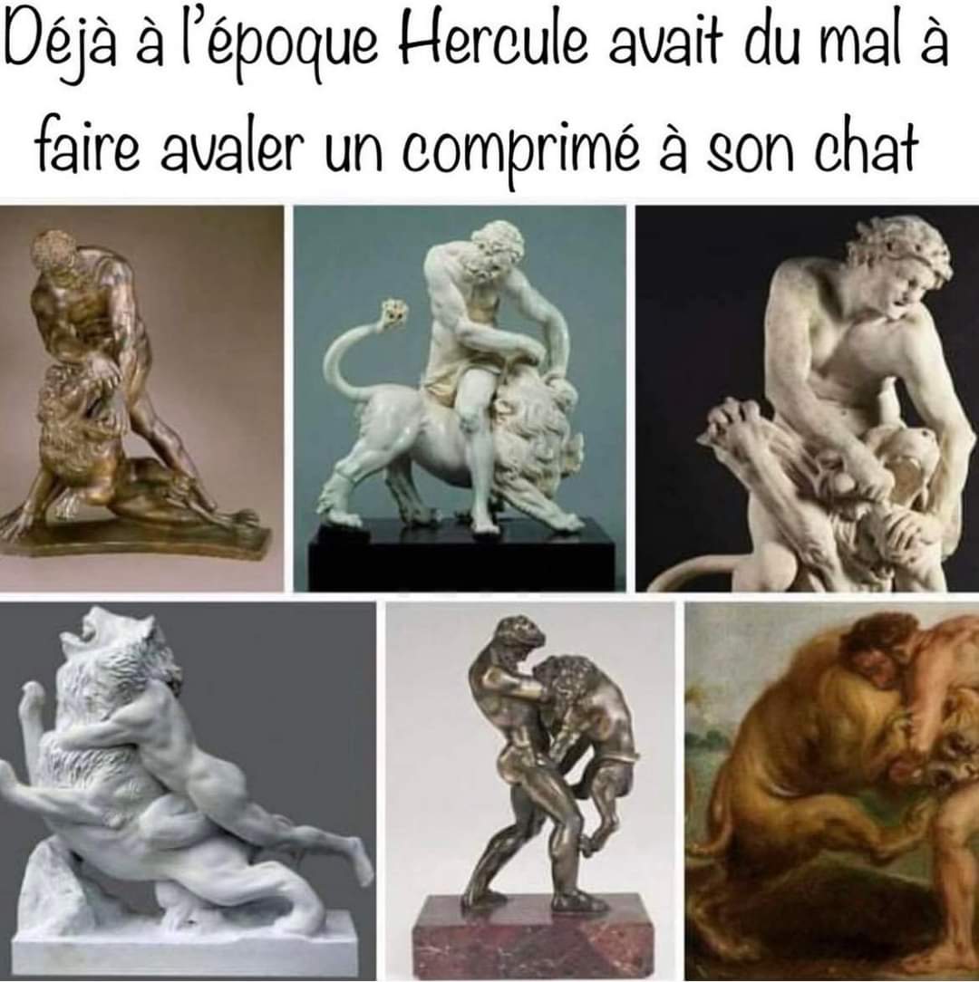 #NousChatons (source ?)