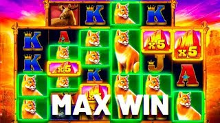 mascoobss's tweet photo. $250 GIVEAWAY TO CELEBRATE MAX WIN ON BUFFALO KING MEGAWAYS!

✅Like + RT this post

✅Like &amp; Comment on the Video (MUST be subbed)

✅Watch the WHOLE video (redeemable code hidden!) 

✅ MUST be following my Twitter! @MascoobsCasino 

✅ Rollin in 3 days

https://t.co/bPruIbk9KA https://t.co/DdAazQoInL