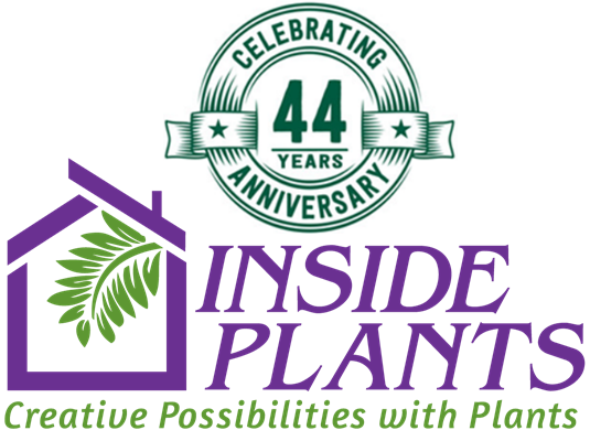 InsidePlants's tweet photo. https://t.co/Vy54SMZhxj https://t.co/uHcweyNnCv