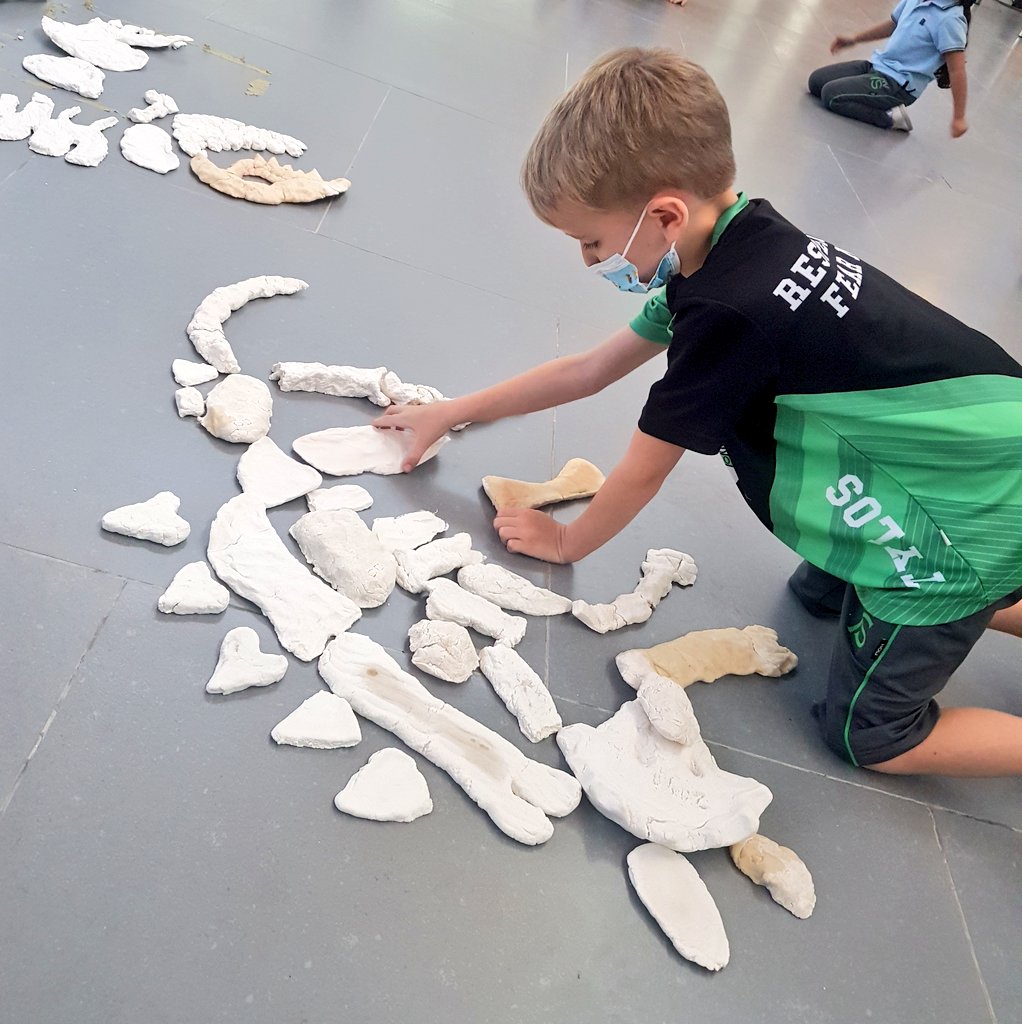 Samira Jamil tweet media