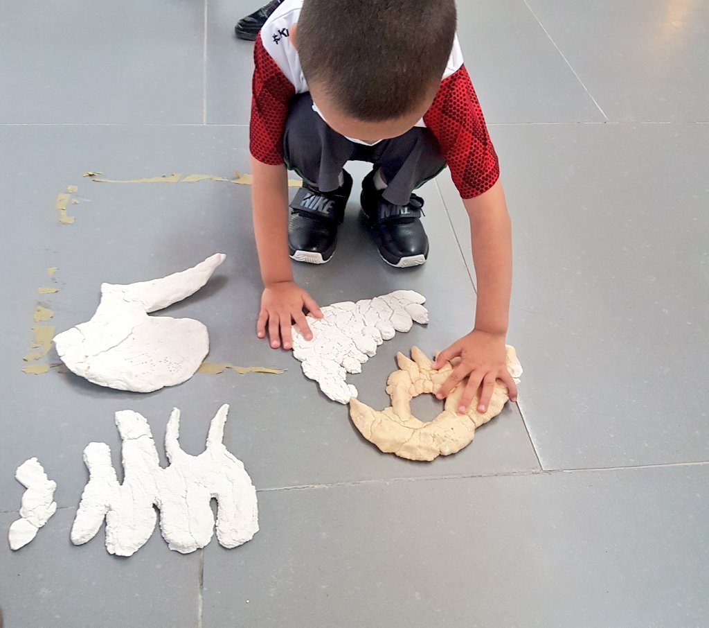 Samira Jamil tweet media