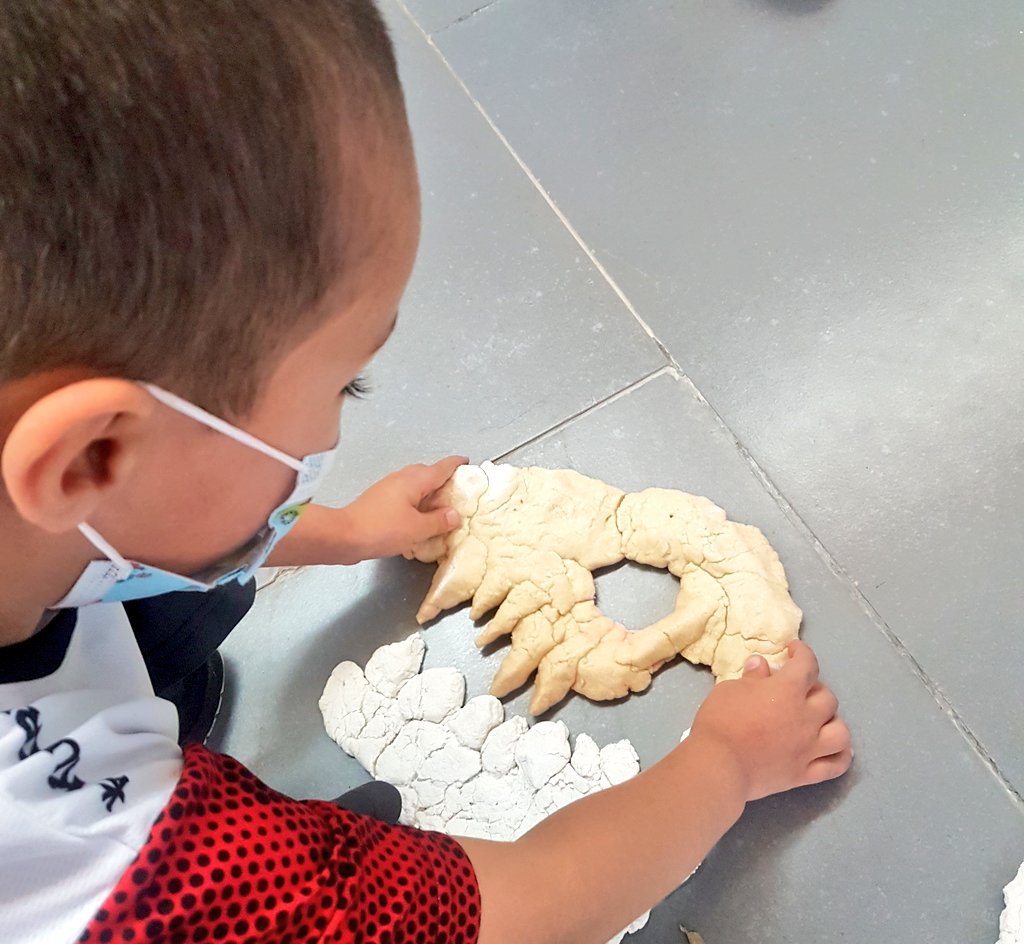 Samira Jamil tweet media