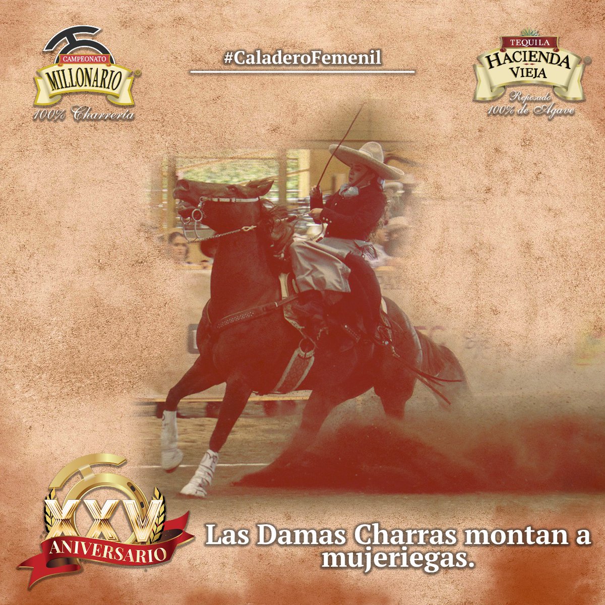 millonario_camp's tweet photo. Despedimos el #mesdelamujer agradeciéndoles por confiar en nuestro #CaladeroFemenil, y por dejar el corazón en la competencia. ¡Gracias por ser inspiración! #CampeonatoMillonarioTHV #MujeresDeACaballo #ExperienciaMillonaria #XXVAniversario #EdiciónDeOro #LaPichoniza #THV https://t.co/R6COTiGrL2