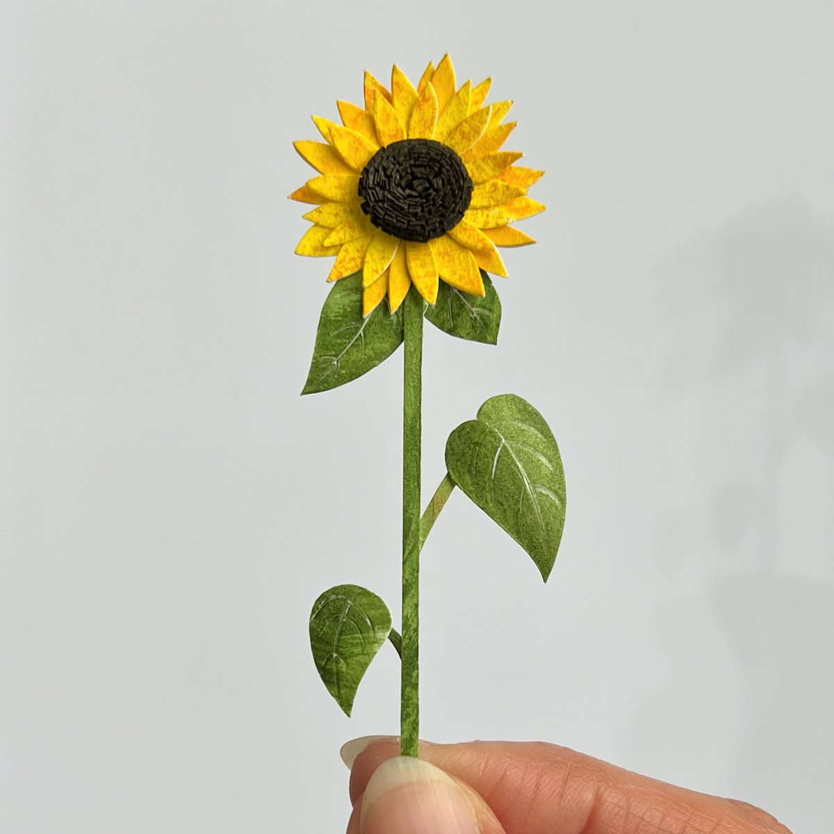 Next one in the plant collection 🌻🪴 Ready to photograph properly. #paperflowers #Sunflowers #papercut #collageart