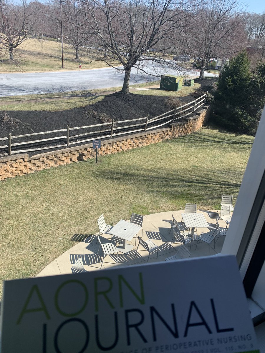 ORachiever's tweet photo. It’s so easy as an OR nurse to miss out on those first beautiful Spring days while working indoors. Today I had our new OR nurses to take their laptops outside and work while I read my March AORN journal in the sun.  So refreshing for everyone! 🌞 https://t.co/RoXfgNmCbM