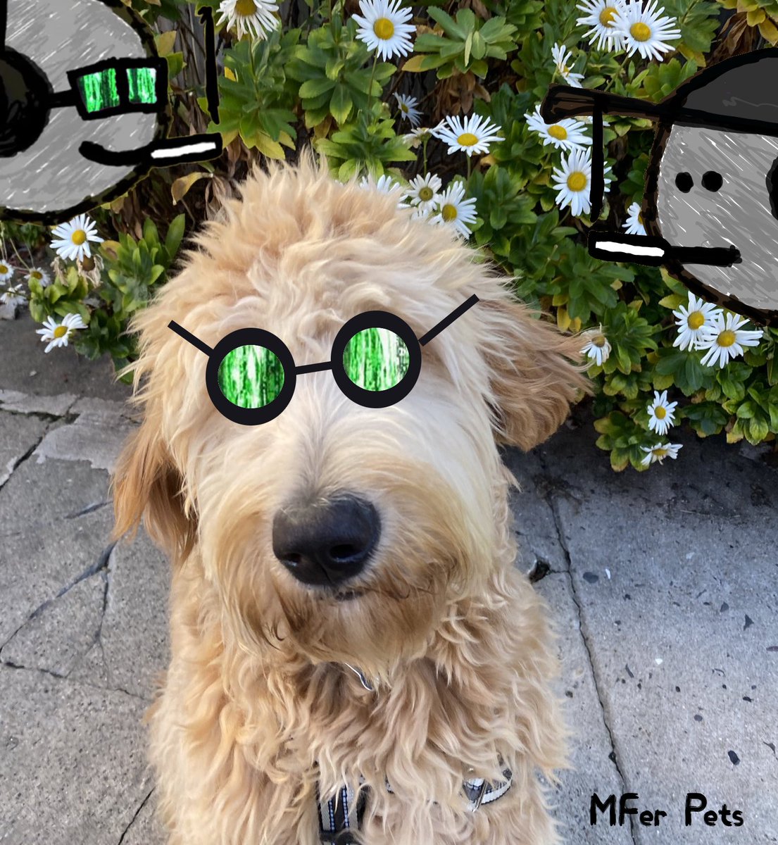 mferpetsᵐᶠᵉʳ🏝️ tweet media