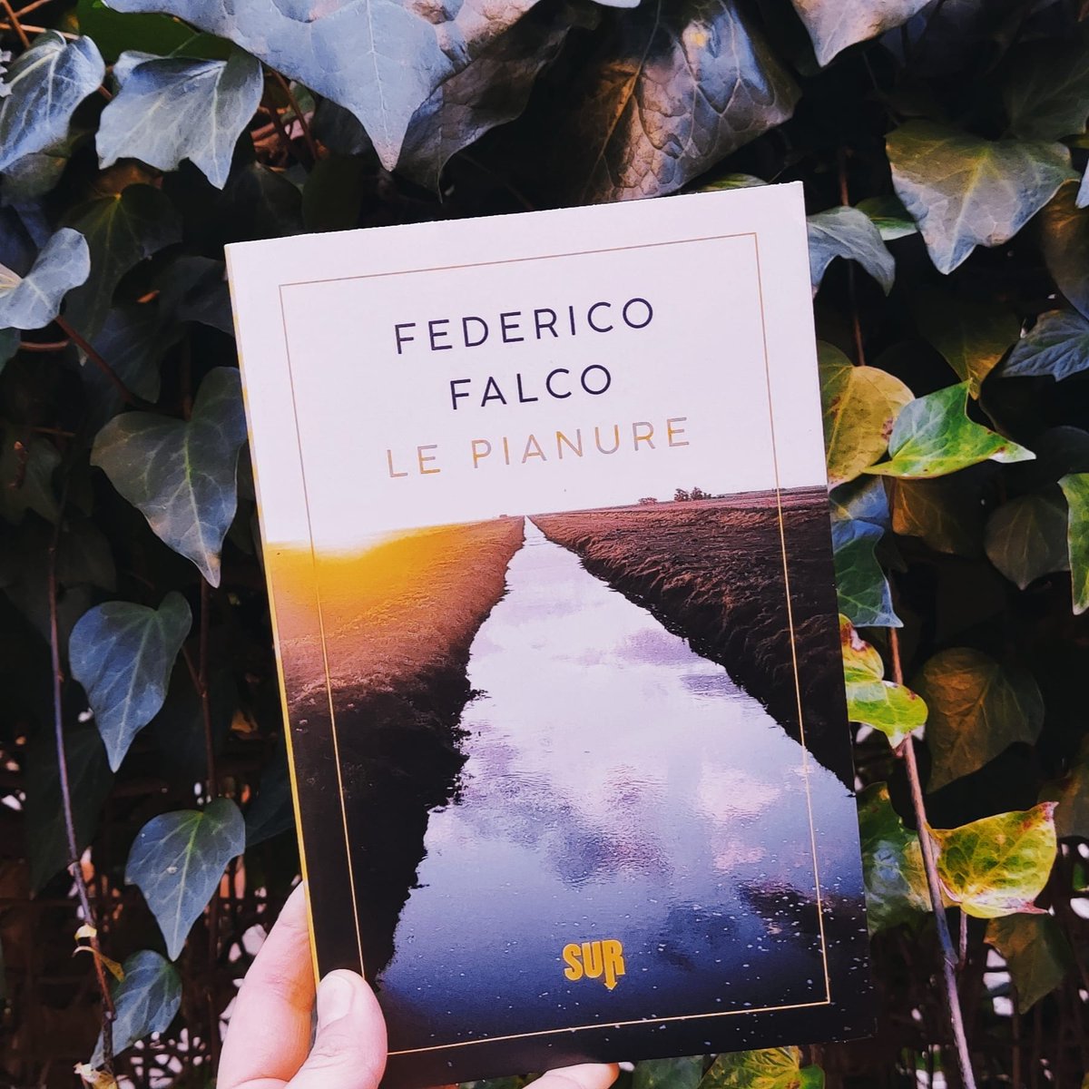 giuliazavagna's tweet photo. Oggi è un giorno in cui il lavoro che faccio mi rende un po' più felice, perché esce questo libro prezioso, delicato, profondo, umano. Un romanzo che va controcorrente in tanti modi e ci distoglie dal guardare il mondo alla nostra solita maniera. https://t.co/Wykilu4nVJ