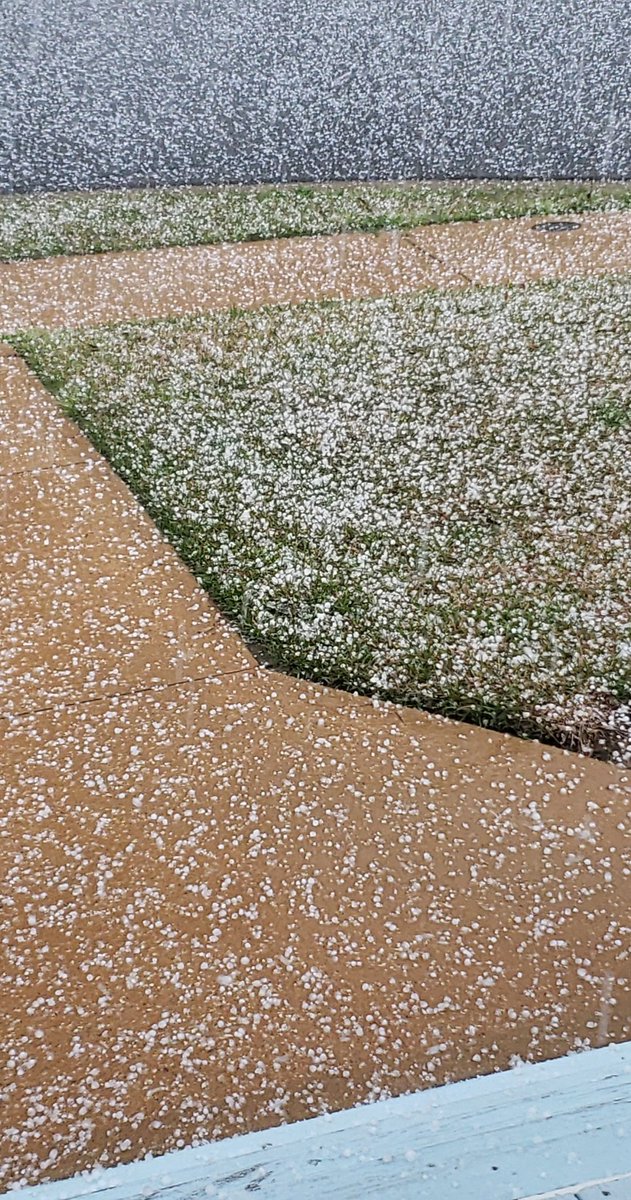 gingeraugirl's tweet photo. A bit of tooth size hail in downtown Auburn. @spann 
#notsnow #notclover #auburn #alabama https://t.co/YMvKxzXtgS