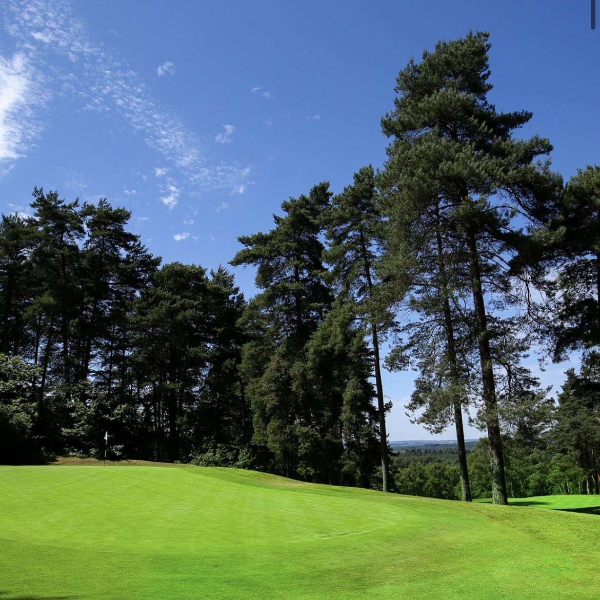Fore! Group tweet media