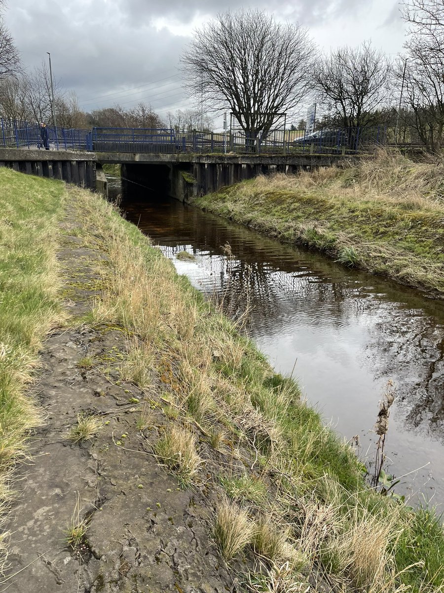 BowhouseP2's tweet photo. This afternoon as part of our STEM Project on flood protection we walked around our local area for ideas to see how we can create our own flood protection scheme! @FMorrisonSTEM We had a great time and discovered lots of information 🌊👷‍♀️🥽 https://t.co/TZNH4OODI1