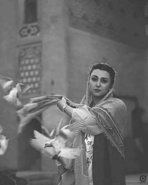 jugn01's tweet photo. وہ کبوتر جو تیری سمت گئے تھے جاناں!!
      لوٹ تو آئے ہیں مگر آواز گنوا بیٹھے ہیں!!
#Sithari https://t.co/eTaW6Bns6l