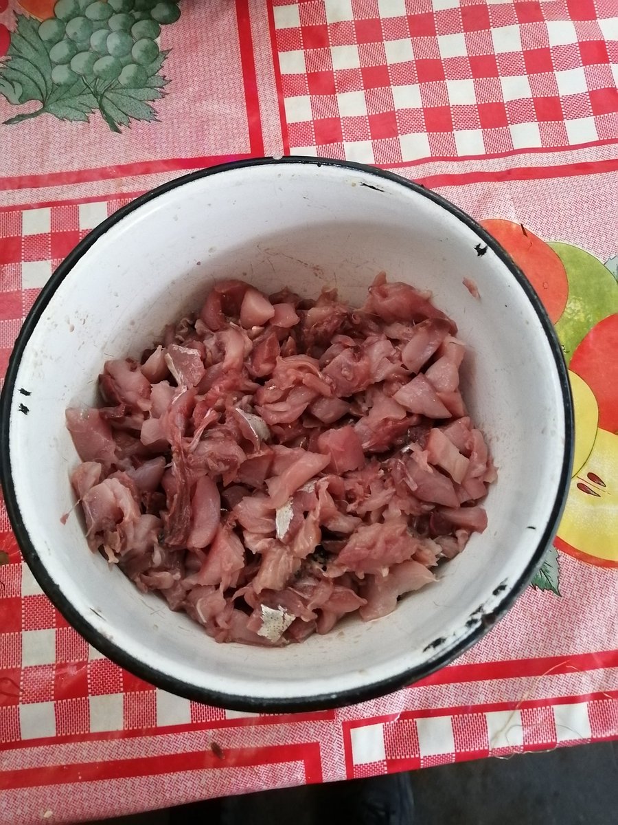 PedriMercado's tweet photo. Siempre hay una primera vez para convertir un pescado en comida para 10 personas. https://t.co/1Dh6zbg5Yi