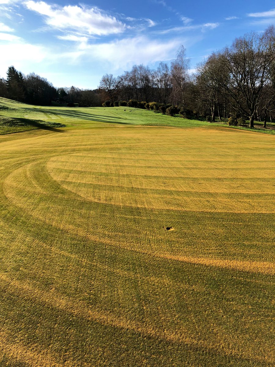 mattwhiting31's tweet photo. Another greens renovations done and dusted. Finished off with the usual over-seed of CBL @T2GBentgrass @turfcarescott . Great work from all the boys 💪🏼 @DanMead01 https://t.co/oKhUL9GNBF