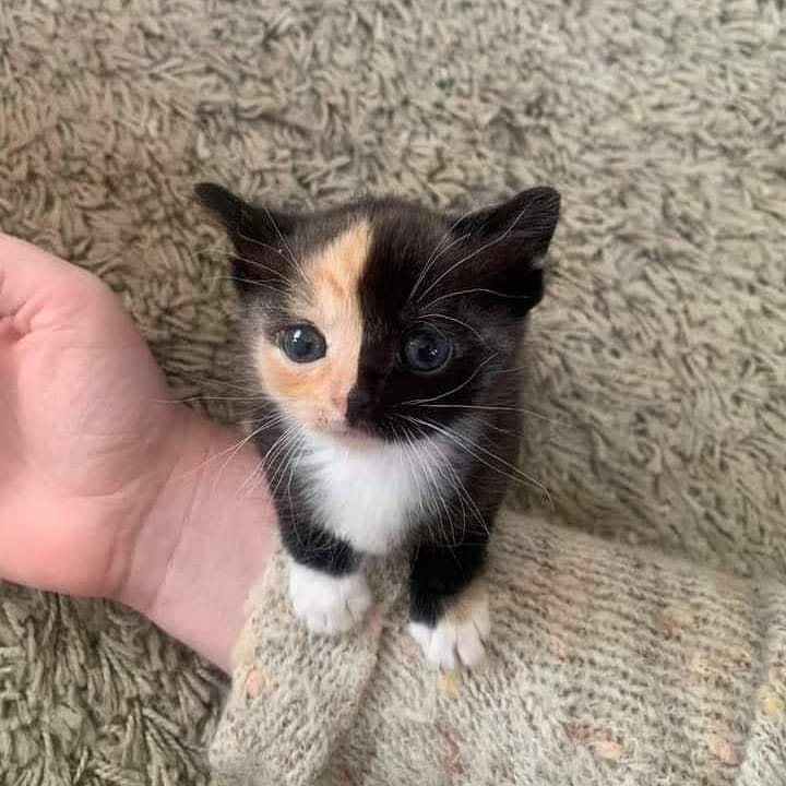 Can you please give her a sweet name ?